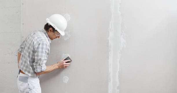 Reliable College Park, MD Mold Removal Solutions