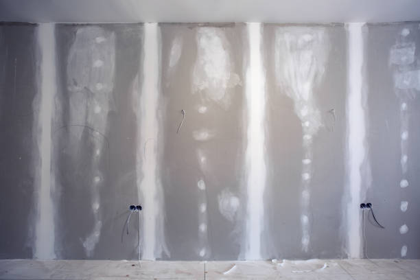 Forensic Mold Investigation in College Park, MD